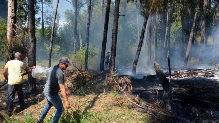 Serik'te yangın ormana sıçramadan söndürüldü