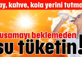 Susamayı beklemeden su tüketin!