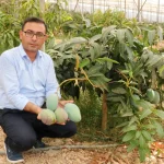 ‘Tüketicimiz yerli mangoyu tercih etsin’