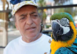 Turgut Özal'ın kaybolan papağanı 3 gün sonra bulundu