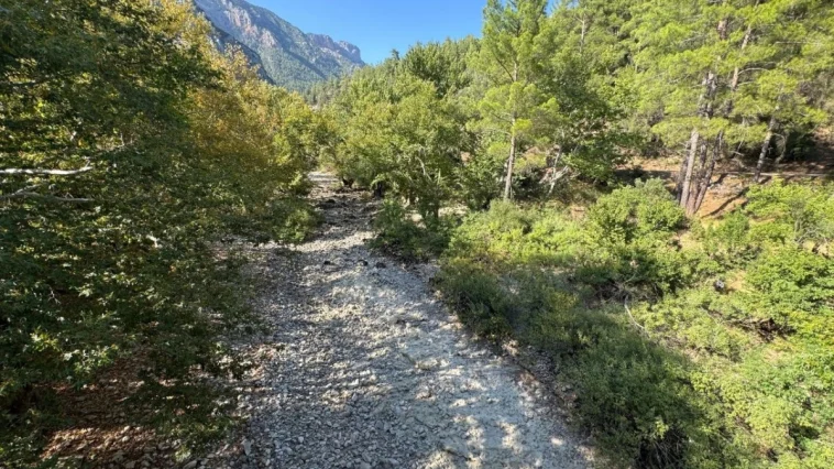 Üzümdere Irmağı kuraklığa yenik düştü