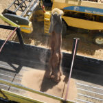 Halkın toprağından halkın sofrasına halk ekmek