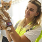 Boğaçayına düşen düşen yavru kedi kurtarıldı