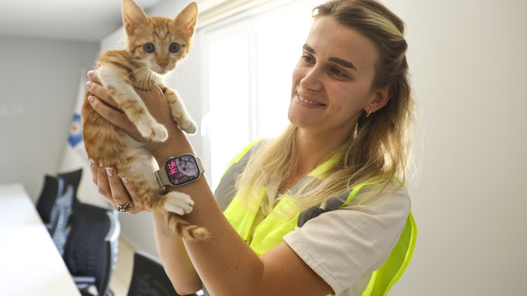 Boğaçayına düşen düşen yavru kedi kurtarıldı