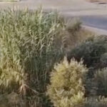 Drift yapan 3 sürücüye 166 bin TL ceza