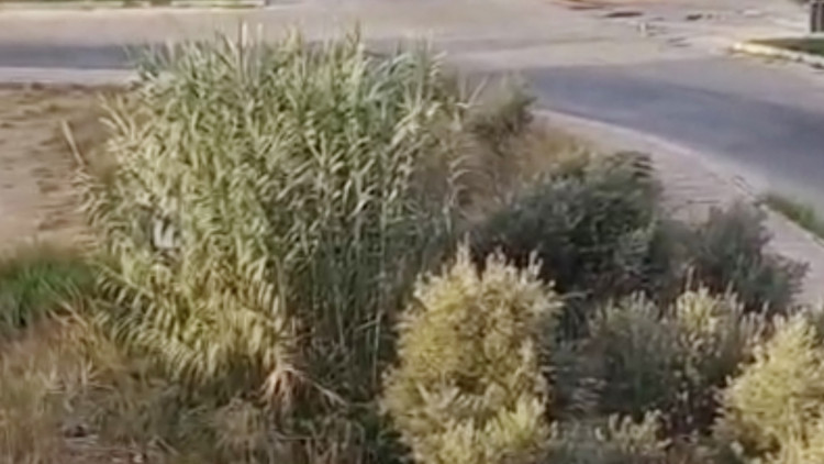 Drift yapan 3 sürücüye 166 bin TL ceza