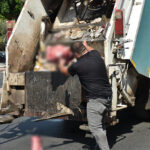 Ekipler yumurta ihbarı üzerine gitti, bu manzarayla karşılaştı Korkunç görüntüler: İmha edilmek üzere el konuldu