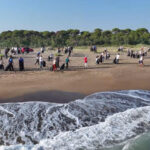 Çöplüğe dönen sahil temizlendi