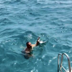 Yaralı martıyı tekne kaptanı kurtardı