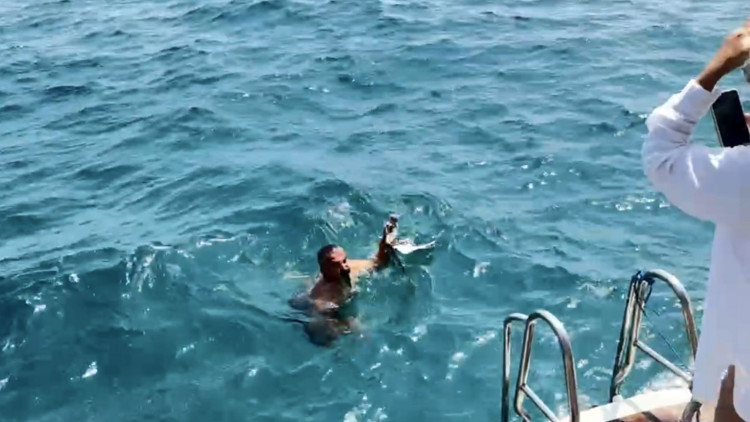 Yaralı martıyı tekne kaptanı kurtardı