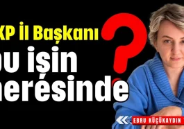 AKP Antalya İl Başkanı bu işin neresinde?