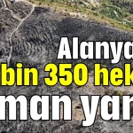 Alanya'da bin 350 hektar orman yandı