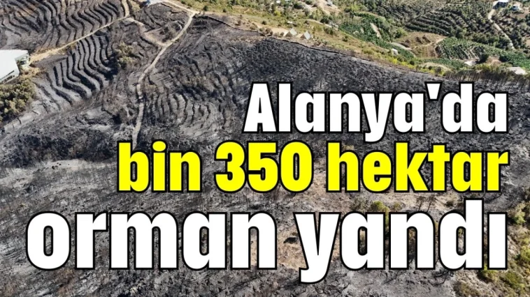 Alanya'da bin 350 hektar orman yandı