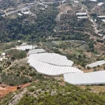 Alanya'da engebeli araziler seraya dönüştürüldü