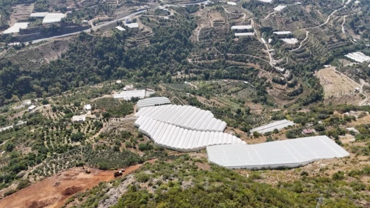 Alanya'da engebeli araziler seraya dönüştürüldü