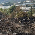 Alanya'da otluk yangını büyümeden söndürüldü