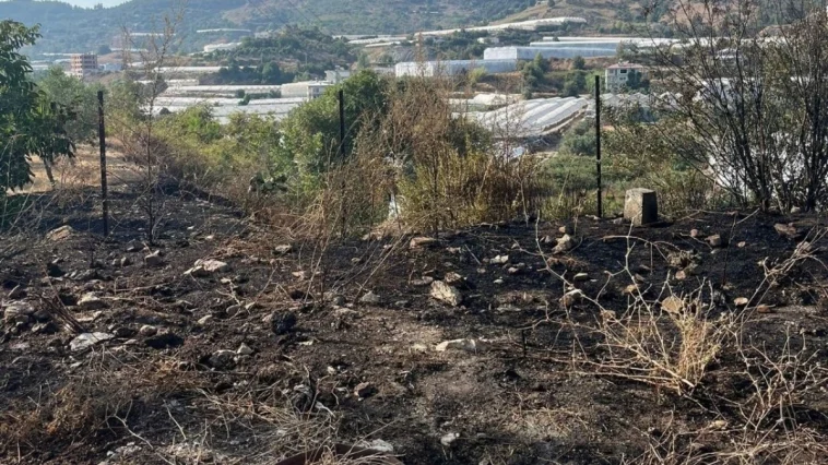 Alanya'da otluk yangını büyümeden söndürüldü