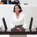 Alara Çayı yine HES tehdidi altında