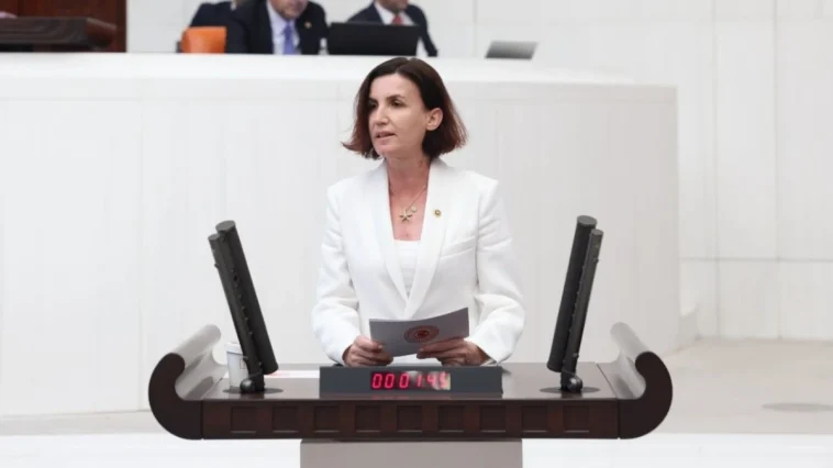 Alara Çayı yine HES tehdidi altında