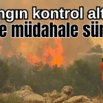 Antalya'da 4 orman yangını kontrol altında, 2'sine müdahale sürüyor