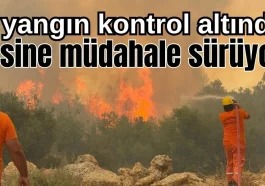 Antalya'da 4 orman yangını kontrol altında, 2'sine müdahale sürüyor