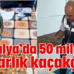 Antalya’da 50 milyon dolarlık kaçakçılık
