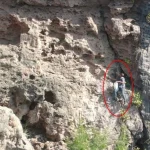 Antalya’da falezlerde kaya koruğu mesaisi