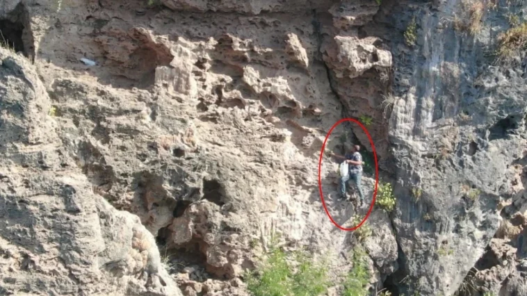 Antalya’da falezlerde kaya koruğu mesaisi