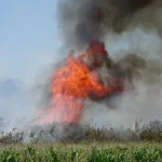 Antalya’da kargılık alanda yangın