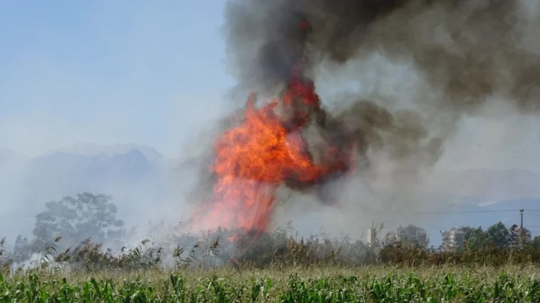 Antalya’da kargılık alanda yangın