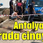 Antalya'da serada cinayet