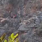 Dağda mahsur kalan keçiyi jandarma kurtardı