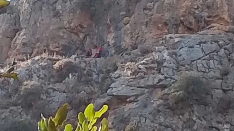 Dağda mahsur kalan keçiyi jandarma kurtardı