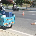 Devrilen triportörün sürücüsü yaralandı