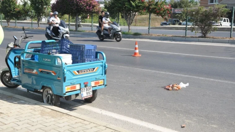 Devrilen triportörün sürücüsü yaralandı