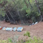 Gazipaşa'da 36 arı kovanı çalındı