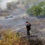 Gazipaşa'daki yangında badem ve harnup ağaçları zarar gördü