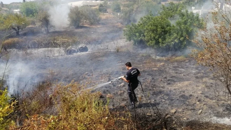 Gazipaşa'daki yangında badem ve harnup ağaçları zarar gördü