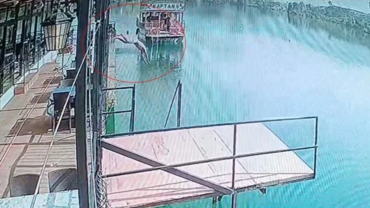 Göle giren adam boğuldu, o anlar kamerada