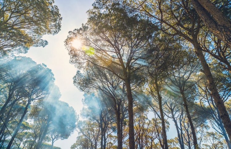 TATİLDE YANGIN RİSKİNE KARŞI NASIL DAVRANMALIYIZ?