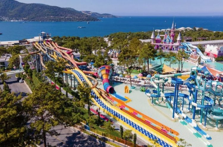 image_750x_689c192e14d97