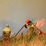 YANGINLARIN YÜZDE 57’Sİ ORMAN DIŞI ALANLARDA BAŞLADI