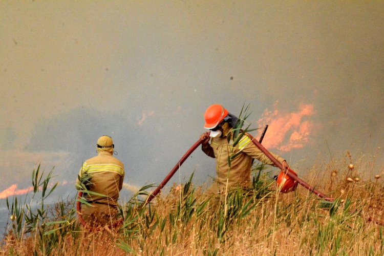 YANGINLARIN YÜZDE 57’Sİ ORMAN DIŞI ALANLARDA BAŞLADI
