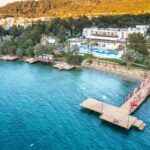 KARBON NÖTR TOPLANTI DENEYİMİ