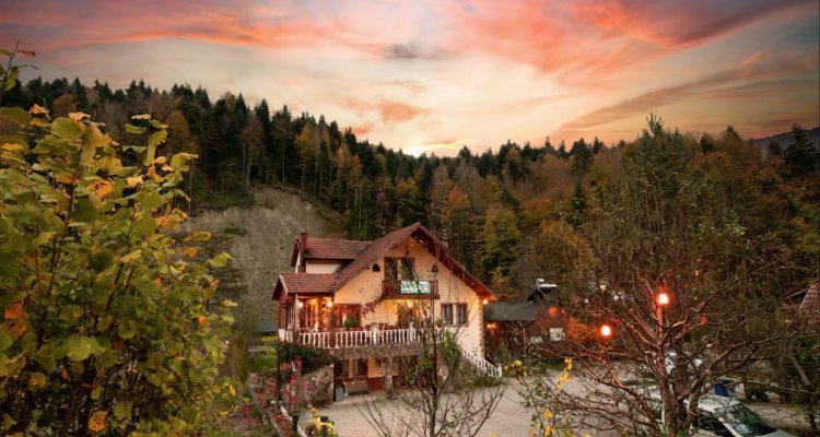 TÜRK GEZGİNLER GÜNEŞTEN KAÇIP SERİN TATİLLERİ TERCİH EDİYOR