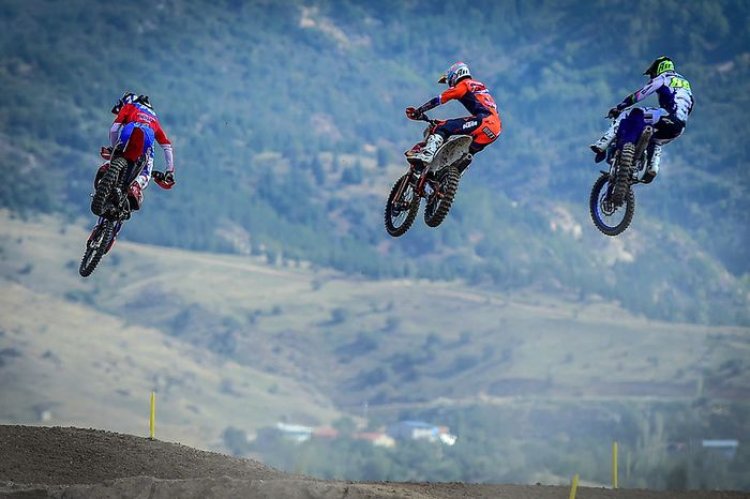 image_750x_68b52069a559d-1