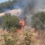Kumluca’da çıkan yangında bir dönüm zeytinlik alan yandı
