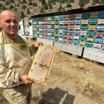 Manavgatlı arıcı, mobil sistemiyle Türkiye’yi geziyor