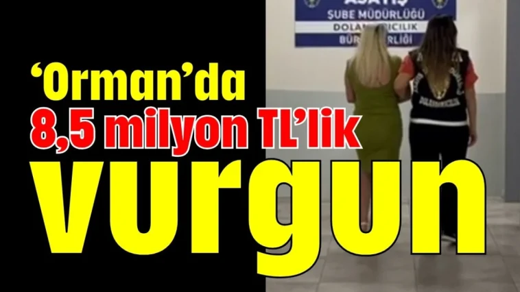 'Orman'da 8,5 milyon TL'lik vurgun