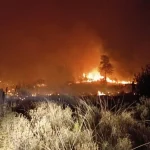 Serik’te orman yangını 5 saatte söndürüldü